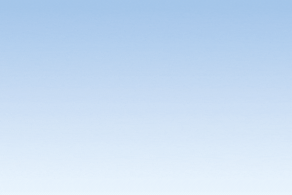 Integridad en compras y contrataciones (Decreto 202/17)