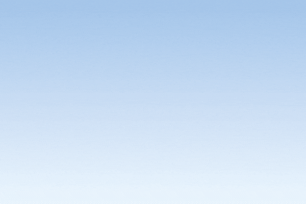 BAPIN III, carga operativa Nivel I (introductorio)