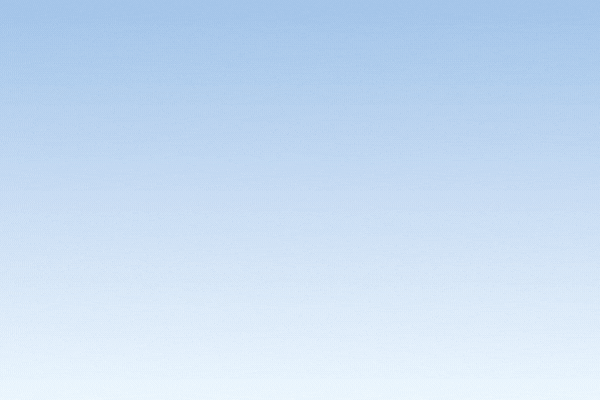 COMPR.AR VIRTUAL: Evaluación y adjudicación