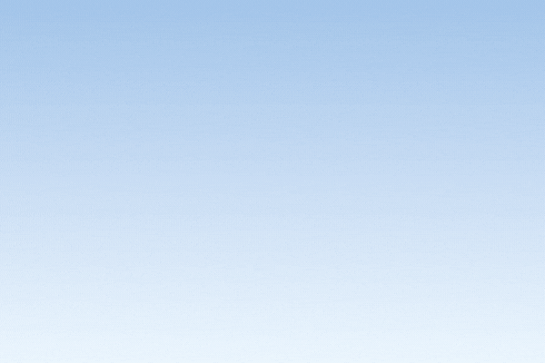 Pautas para la gestión de conflictos de intereses