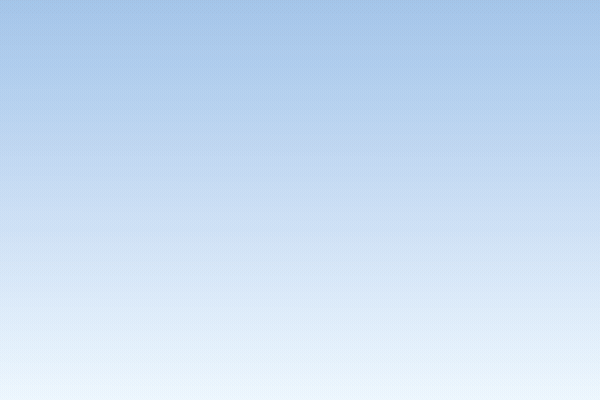 La Gestión Administrativa: Roles y Funciones