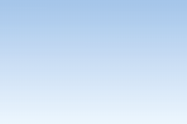 La planificación en la administración pública. Una orientación práctica (APT)