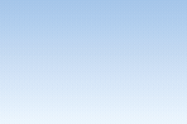 El Desempeño Individual y del Equipo: Una Mirada desde la Organización Del Trabajo