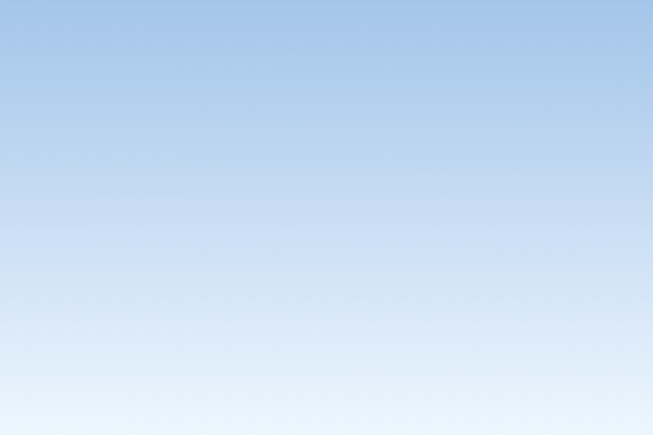 SIByS: Búsqueda y solicitudes de alta en el sistema de identificación de bienes y servicios de la APN